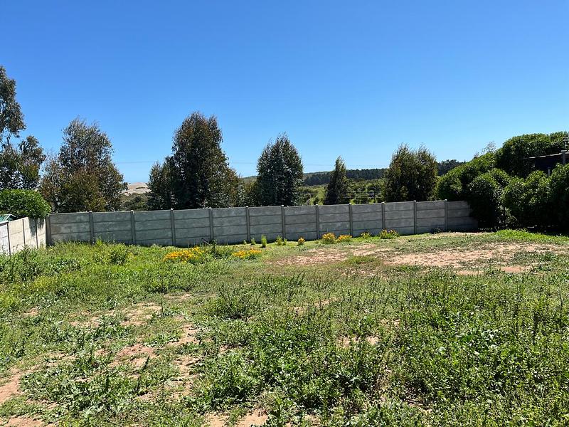 Estrena tu Vida en Lomas de Mantagua: Modernidad, Espacio y Naturaleza