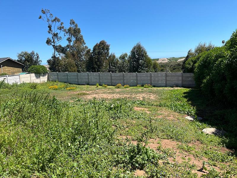 Estrena tu Vida en Lomas de Mantagua: Modernidad, Espacio y Naturaleza