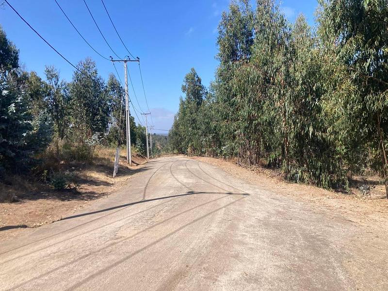 Fundo La Tiza es un condominio consolidado de parcelas en el Valle Alegre, sobre la ruta interior entre Maitencillo y Concón