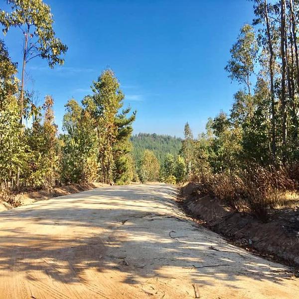 Fundo La Tiza es un condominio consolidado de parcelas en el Valle Alegre, sobre la ruta interior entre Maitencillo y Concón