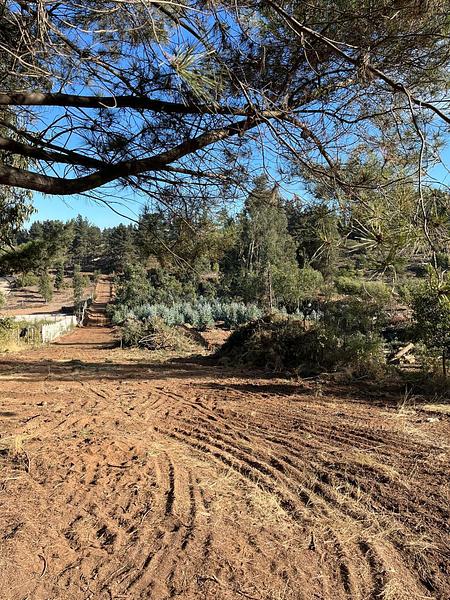OPORTUNIDAD DE INVERSIÓN EN REÑACA BAJO | VIÑA DEL MAR